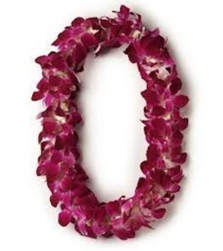 Orchid Lei