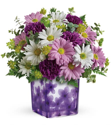 Teleflora's Dancing Violets Bouquet - Standard. An arrangement by GardeLina Flowers.