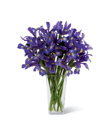 The FTD® Iris Riches™ Bouquet