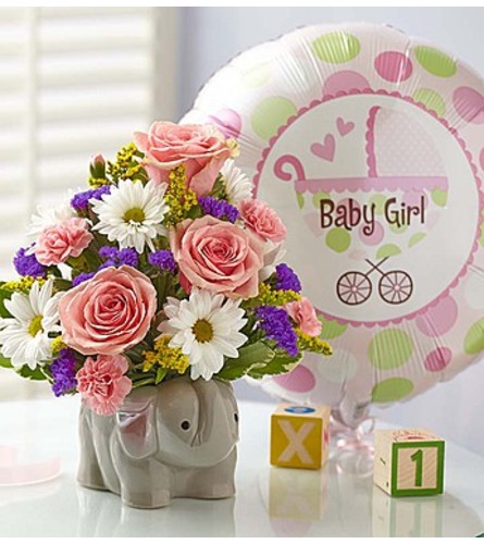 1-800-FLOWERS® SWEET BABY GIRL™ ARRANGEMENT