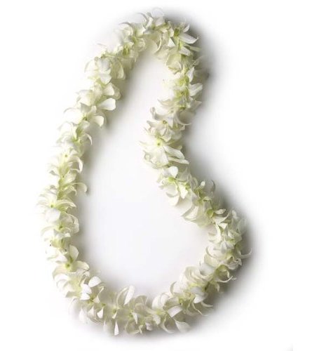 white  lei