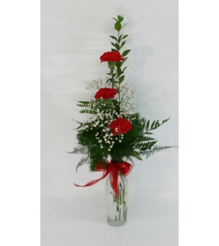 Red Carnation Vase