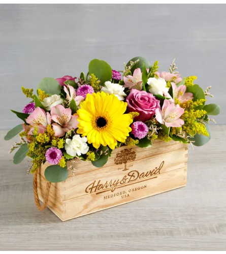 Garden Beauty™ Centerpiece - Standard. An arrangement by Lovingly.