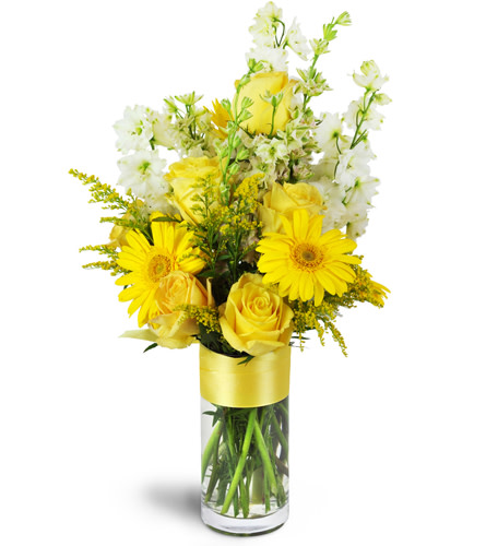 Sunshine Daisy Rose Bouquet™ - Send to Moline, IL Today!