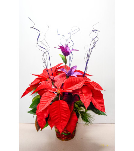 Red Poinsettia Basket