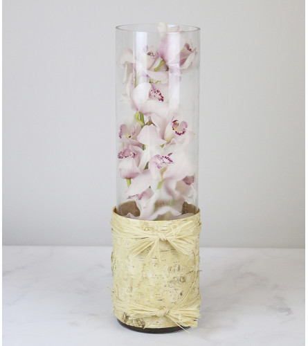 Cymbidium Vase