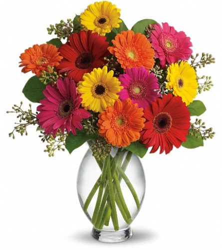 Teleflora's Gerbera Brights