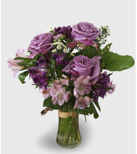 Vivid Violets