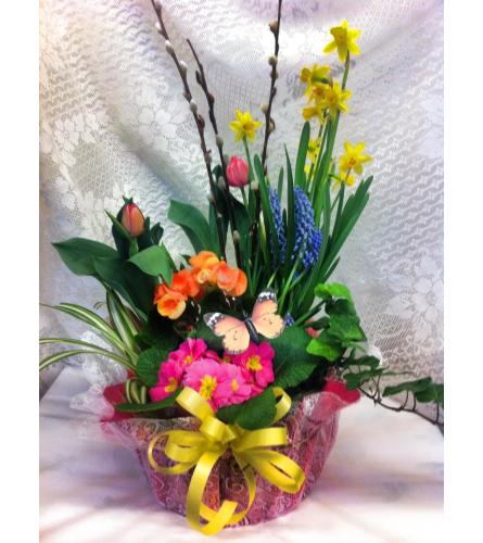 Spring Planter