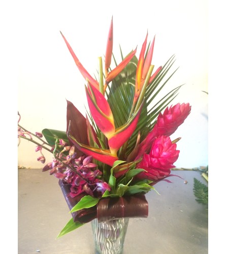 InstaGram Tropical Special