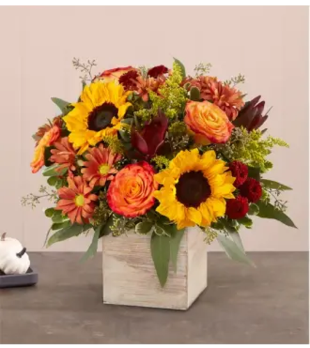 Heartfelt Radiance™ Bouquet for Sympathy