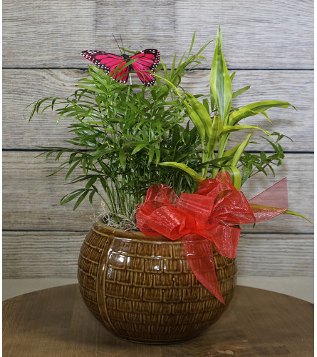 Prosper Blooms Garden. An arrangement by Prosper Blooms.