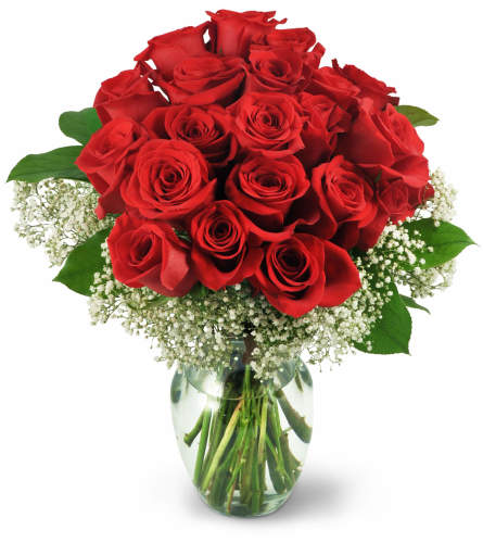 Two Dozen Red Roses - Send to Waterford, Norfolk County, ON Today!