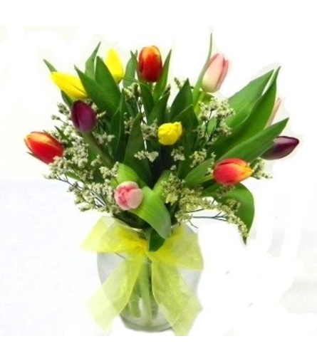 Dutch Masters Tulips