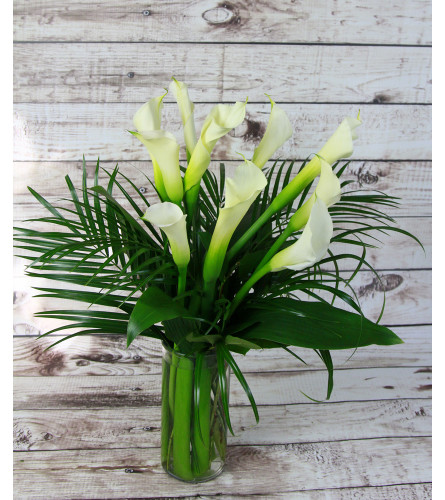 Calla Lily Ovation