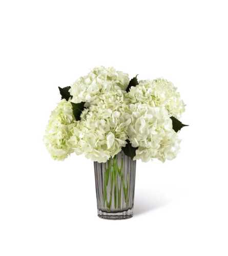 The FTD® Ivory Hydrangea Bouquet by Vera Wang