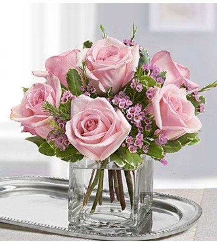 Sweet Sentiments™ Pink Roses