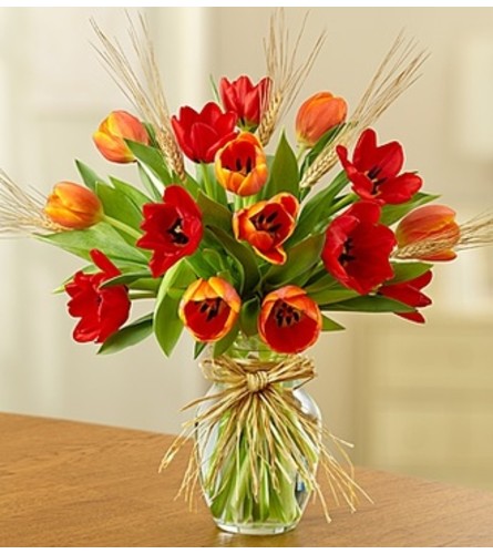 Timeless Tulips™ for Fall