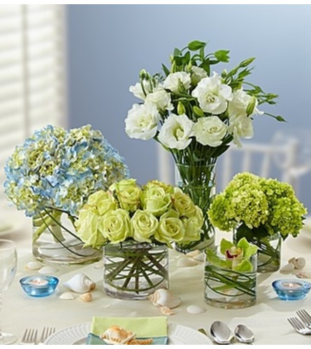 Beach Wedding Centerpiece Package