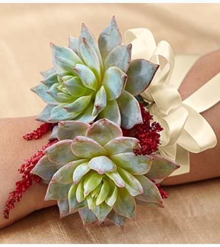 Vineyard Wedding Corsage - Succulent