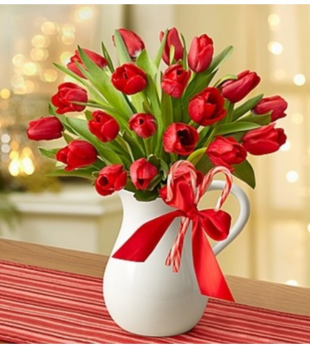 Peppermint Pitcher of Tulips™ - Red