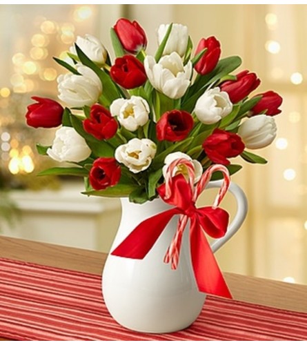 Peppermint Pitcher of Tulips™ - Red and White