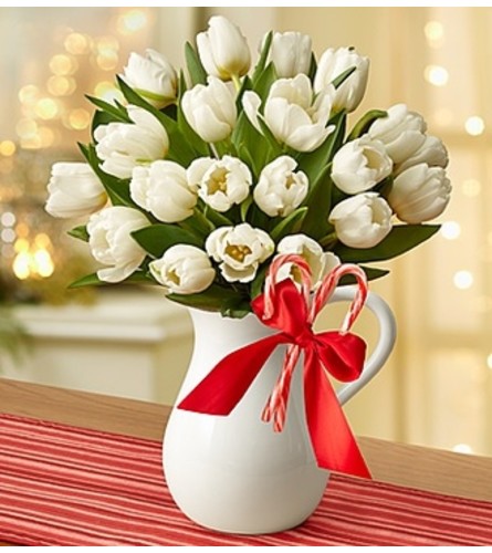 Peppermint Pitcher of Tulips™ - White