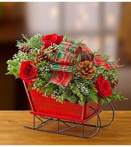 Traditional Tidings™ Sleigh Arrangement