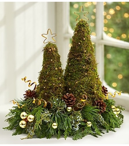 Contemporary Christmas Trees