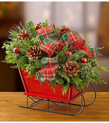 Christmas Sleigh with Fresh Evergreens