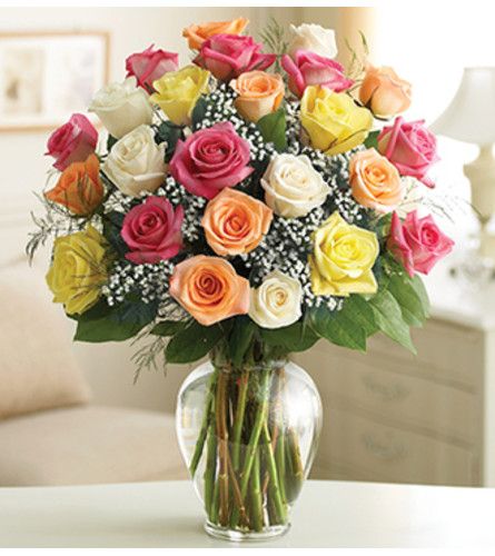 Two Dozen Premium Long Stem Assorted Roses