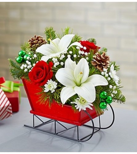 Christmas Gathering Sleigh Arrangement