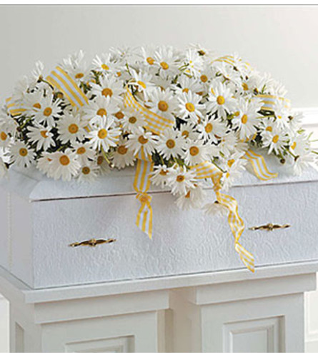 Infant Casket Spray with Daisies