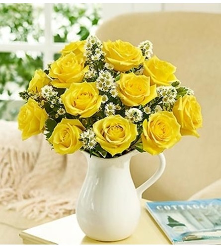 Pitcher Full of Roses, Yellow