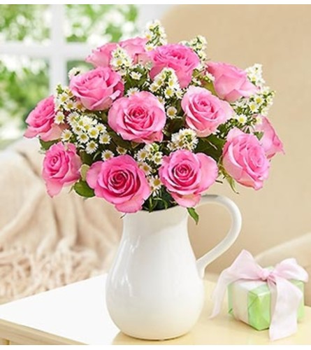 Pitcher Full of Roses, Pink