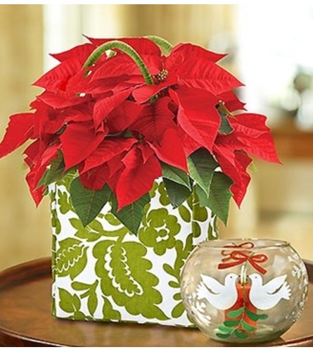 Poinsettia Tote with Votive