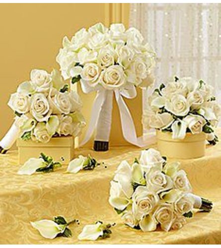 Bridal White Personal Package