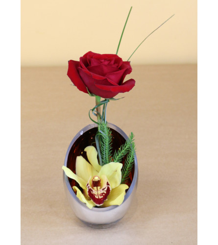 Simply Timeless. An arrangement by Ditmars Flower Shop.