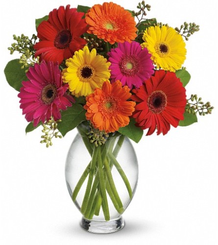 Teleflora's Gerbera Brights