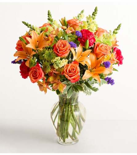The Vibrant Floral Medley™ XL. An arrangement by Sicola's Florist.