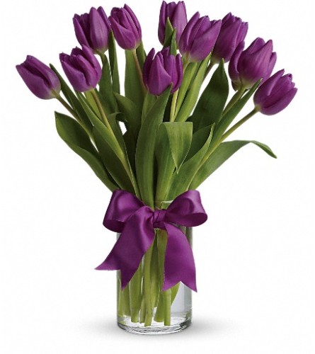 Passionate Purple Tulips