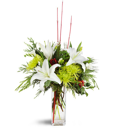 Holiday Shine Bouquet TWR14-5 Winter Floral Arrangement in Elkton