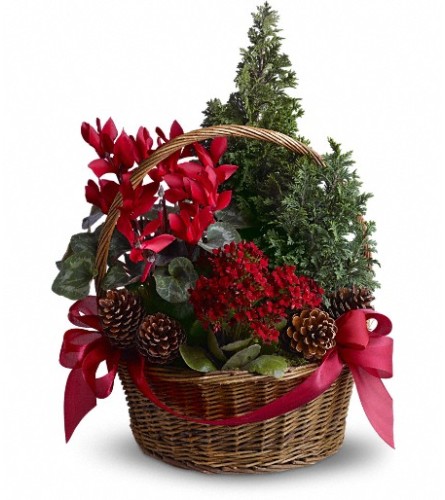 Tannenbaum Basket