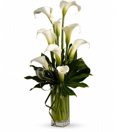 My Fair Lady by Teleflora