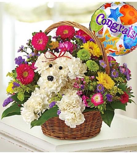 a-DOG-able® in a Basket - Congrats