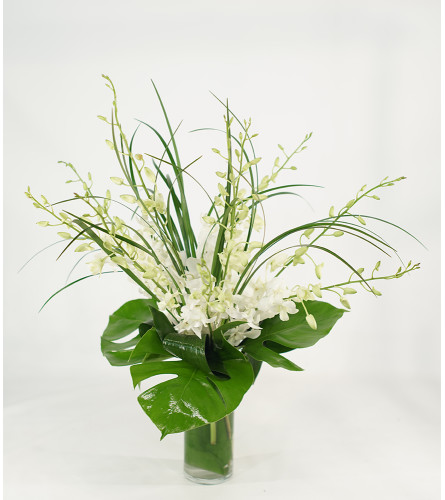 Elegant White Orchid Vase Arrangement