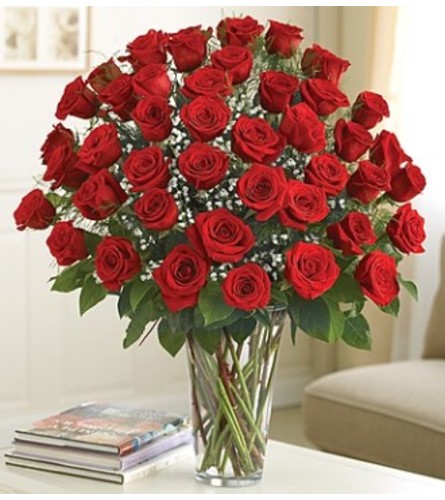 Ultimate Elegance - 4 dozen red roses. An arrangement by Sicola's Florist.