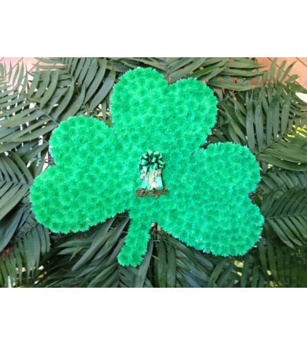 Three Leaf Clover