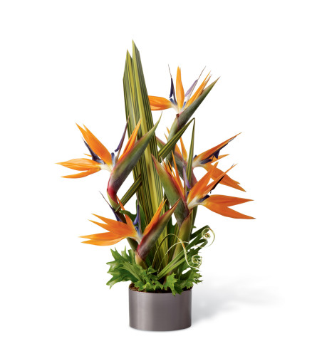 The FTD® Tropical Bright™ Arrangement