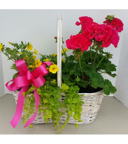 Basket of Springtime